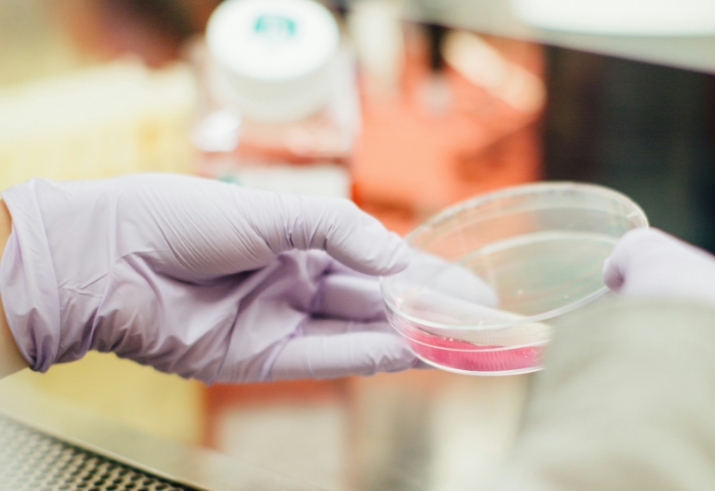 A person wearing purple gloves holds a petri dish with a pink substance inside a laboratory